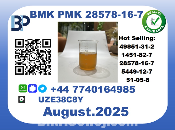CAS 28578-16-7 BMK PMK Certified Factory Supply
